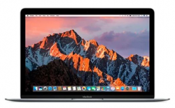 MacBook 9,1 A1534 (12 Retina, начало 2016 г.)